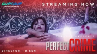 Perfect Crime – S01E01 – 2020 – Desi XXX Web Series – GupChup